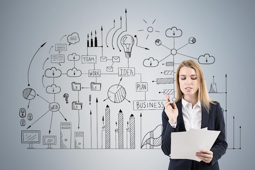 Business Development Executive